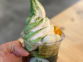 Premium Matcha Cafe Maiko