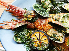 King Tide Fish and Shell